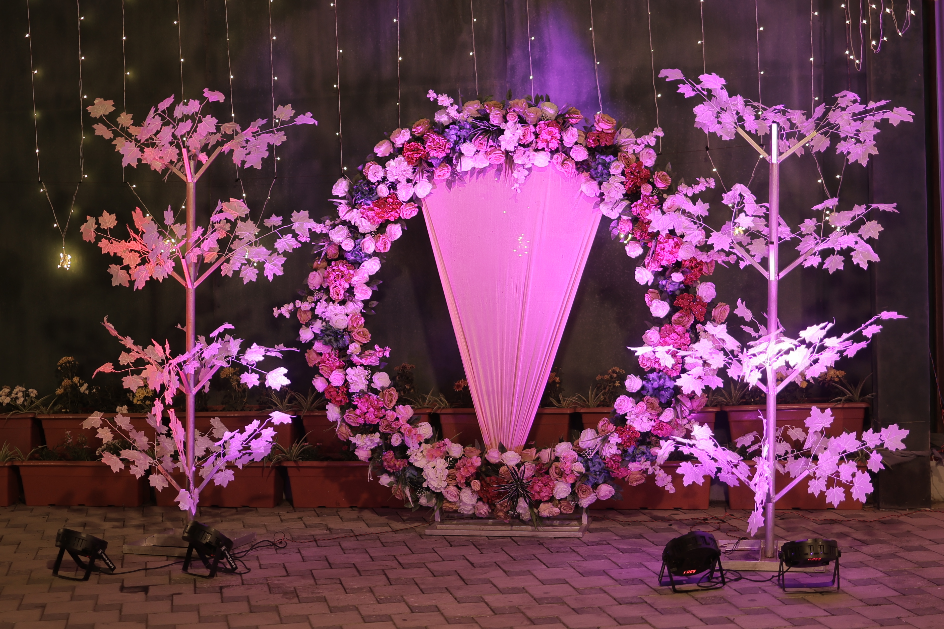 Soni Garden Photo 10